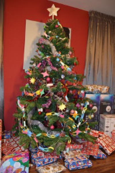 2015: Podmínky a výhra fotosoutěže o nejkrásněší vánoční stromeček